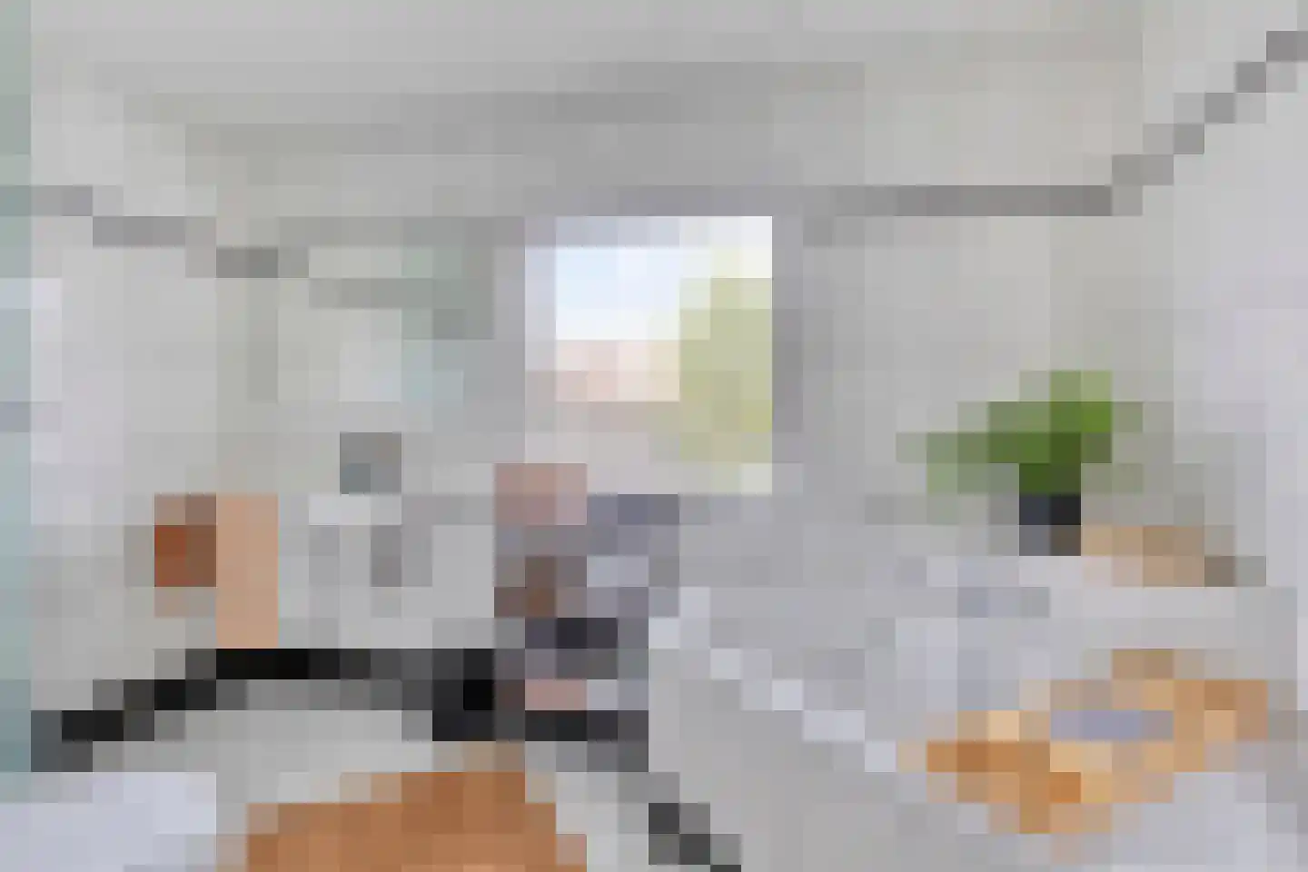Dokter A.Hoynck van Papendrechtstraat 78 Bergeijk thumbnail 21