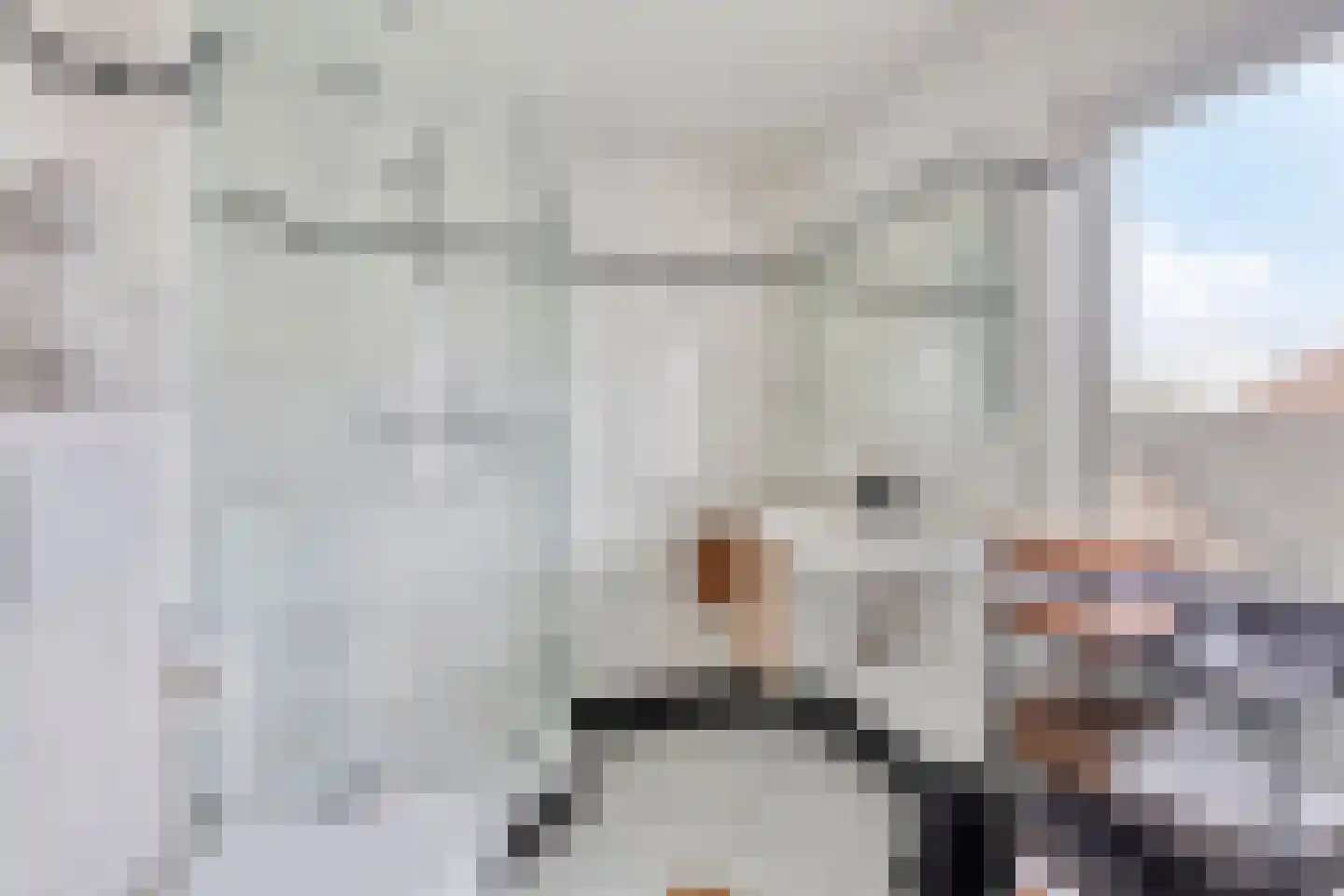 Dokter A.Hoynck van Papendrechtstraat 78 Bergeijk thumbnail 22
