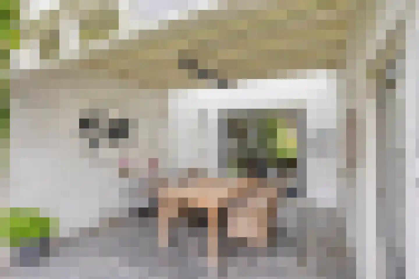 Dokter A.Hoynck van Papendrechtstraat 78 Bergeijk thumbnail 25