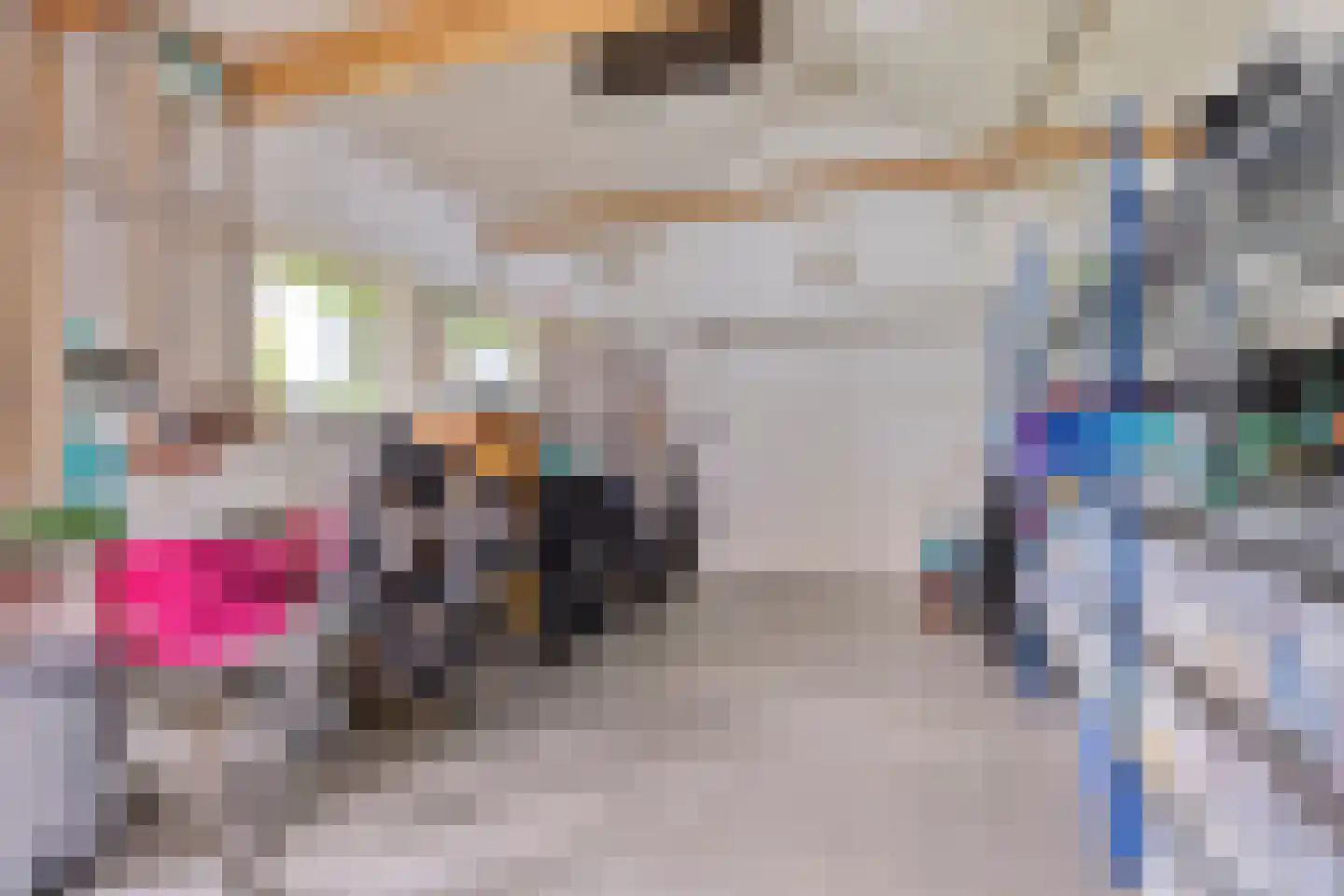 Dokter A.Hoynck van Papendrechtstraat 78 Bergeijk thumbnail 31