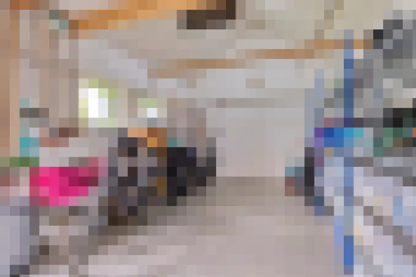 Dokter A.Hoynck van Papendrechtstraat 78 Bergeijk thumbnail 33
