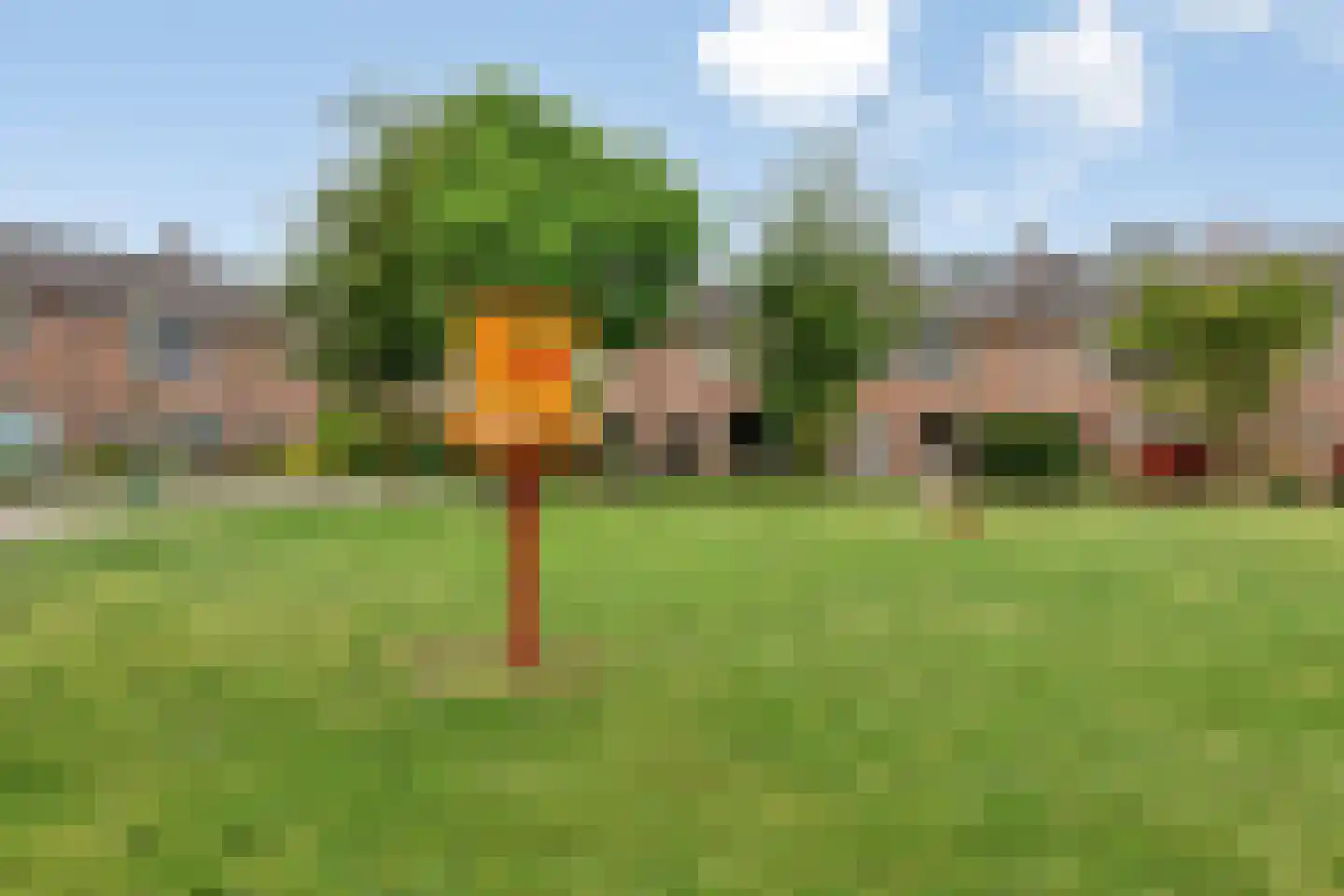 Dokter A.Hoynck van Papendrechtstraat 78 Bergeijk thumbnail 33