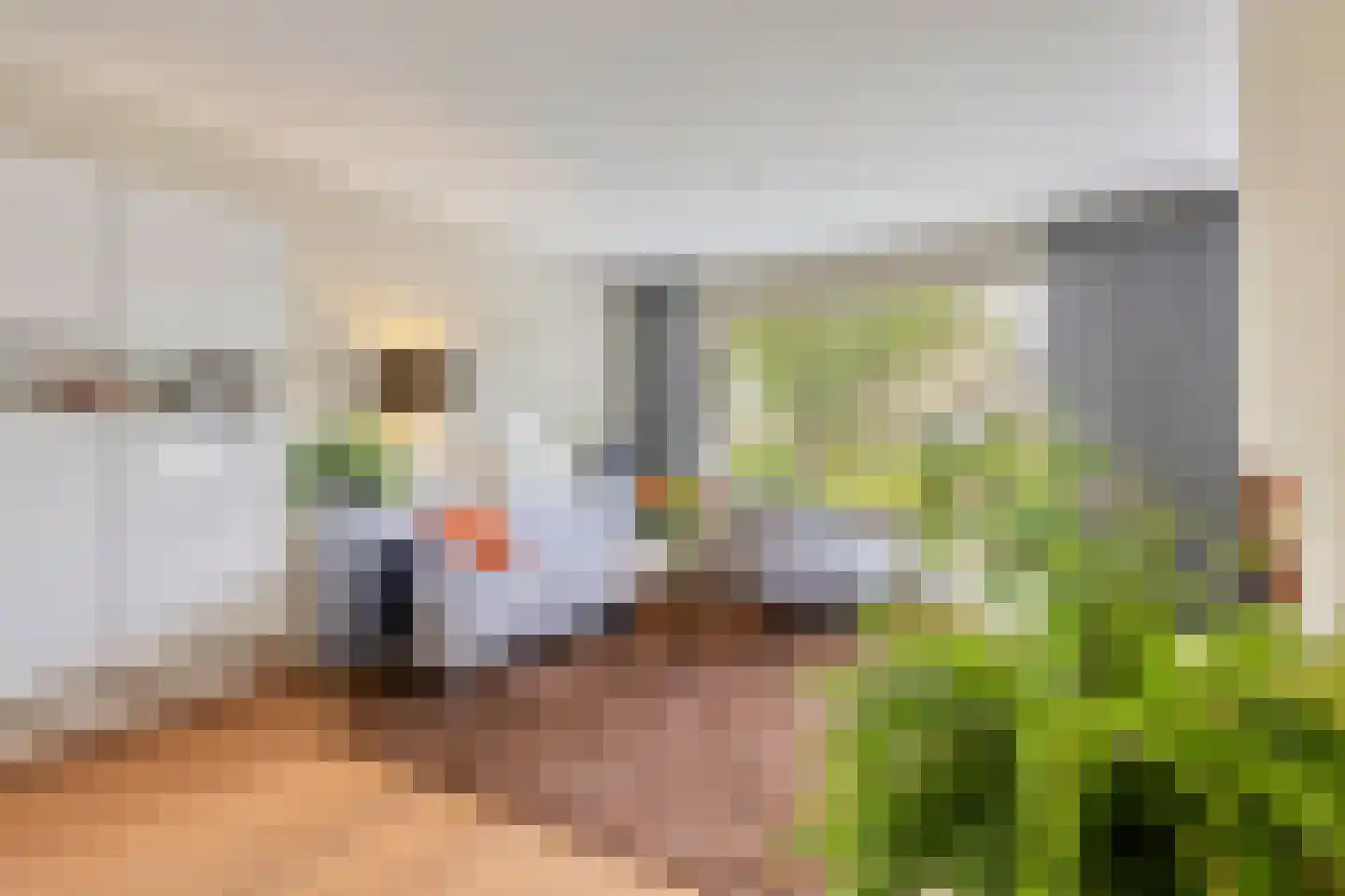 Dokter A.Hoynck van Papendrechtstraat 78 Bergeijk thumbnail 7