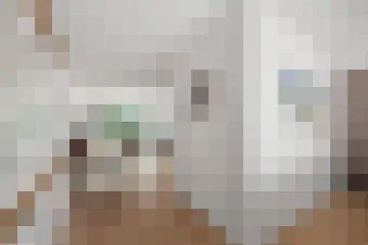 Dokter A. Quartelstraat 8 Ter Aar thumbnail 10