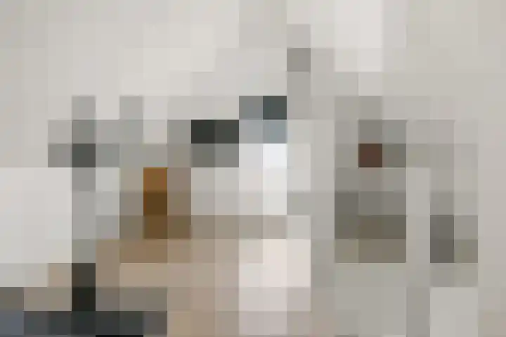 Dokter A. Quartelstraat 8 Ter Aar thumbnail 26