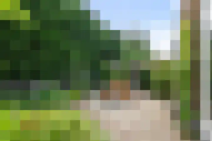 Dokter A. Quartelstraat 8 Ter Aar thumbnail 34