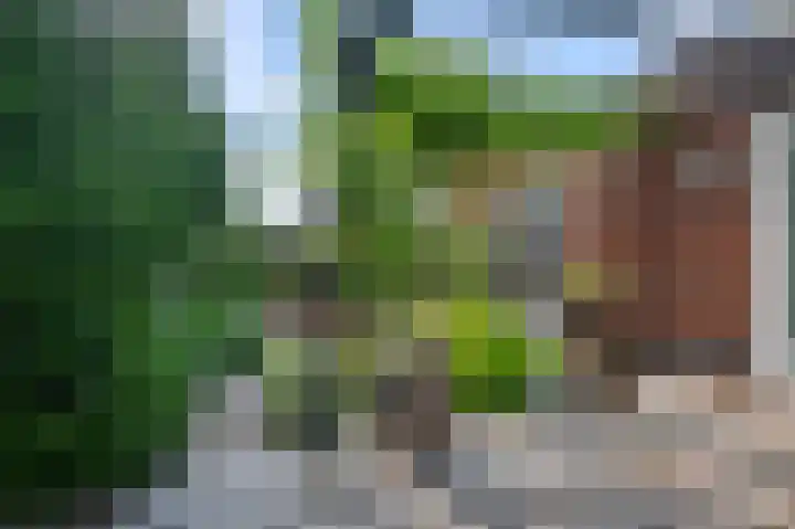 Dokter A. Quartelstraat 8 Ter Aar thumbnail 35