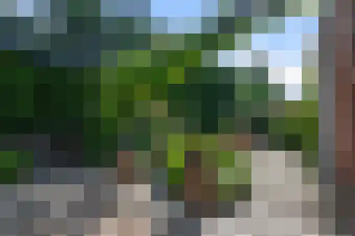 Dokter A. Quartelstraat 8 Ter Aar thumbnail 37