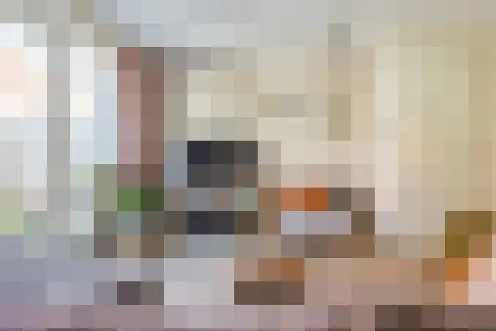 Dokter A Zandijkhof 2 Kesteren thumbnail 11