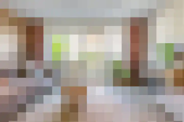 Dokter A Zandijkhof 2 Kesteren thumbnail 13