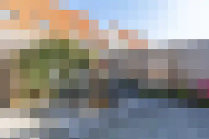 Dokter A Zandijkhof 2 Kesteren thumbnail 35