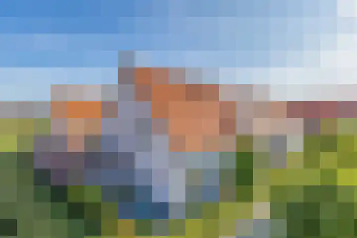Dokter A Zandijkhof 2 Kesteren thumbnail 37