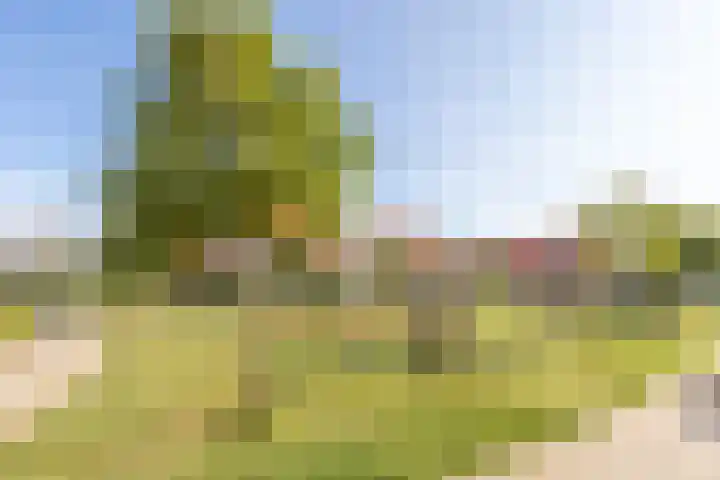 Dokter A Zandijkhof 2 Kesteren thumbnail 39