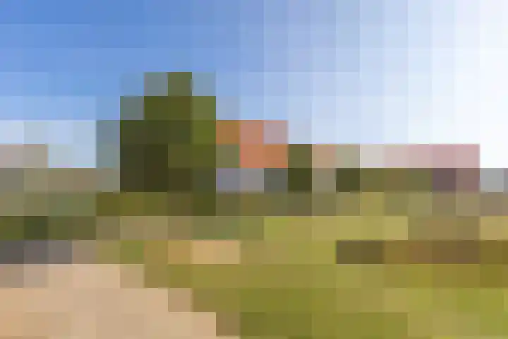 Dokter A Zandijkhof 2 Kesteren thumbnail 40