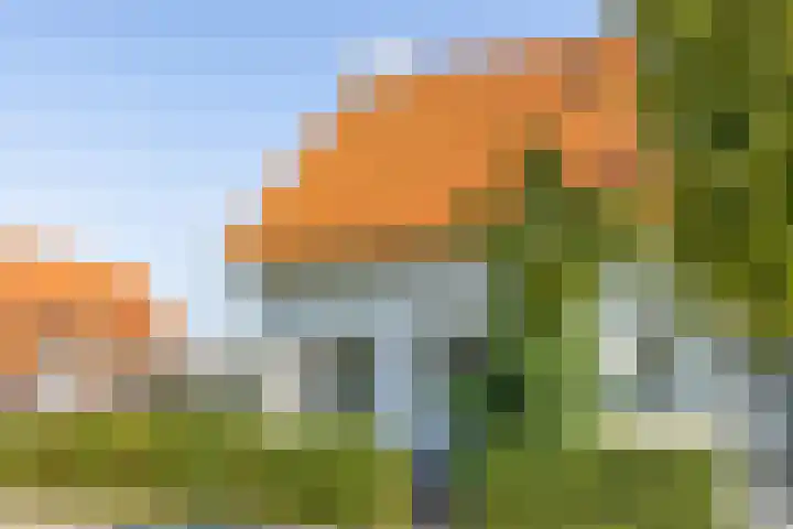Dokter A Zandijkhof 2 Kesteren thumbnail 8