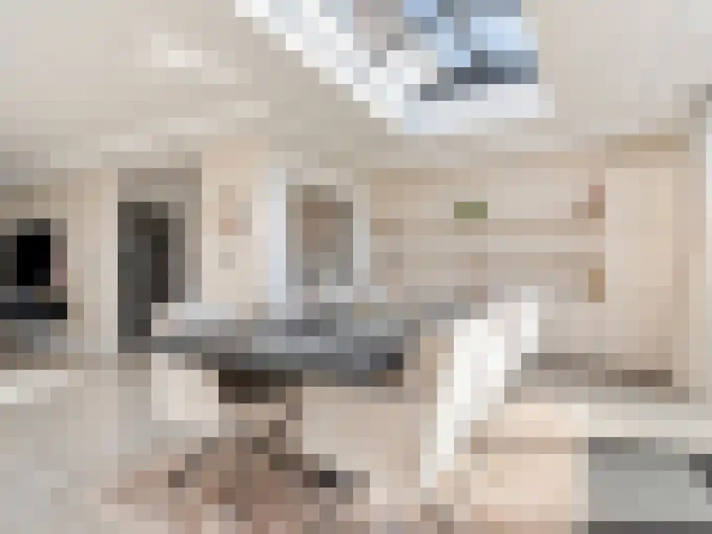 Dokter Akkermansstraat 19 Drunen thumbnail 12