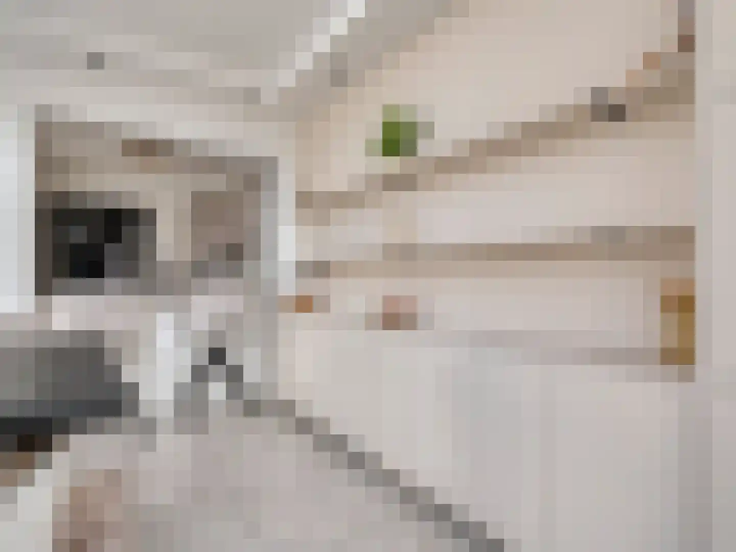 Dokter Akkermansstraat 19 Drunen thumbnail 14