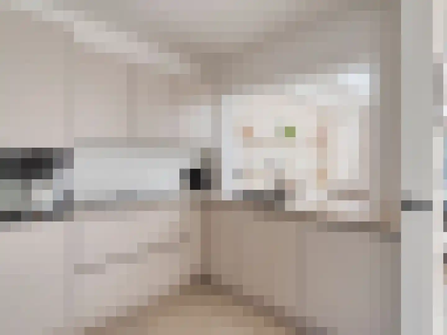 Dokter Akkermansstraat 19 Drunen thumbnail 17