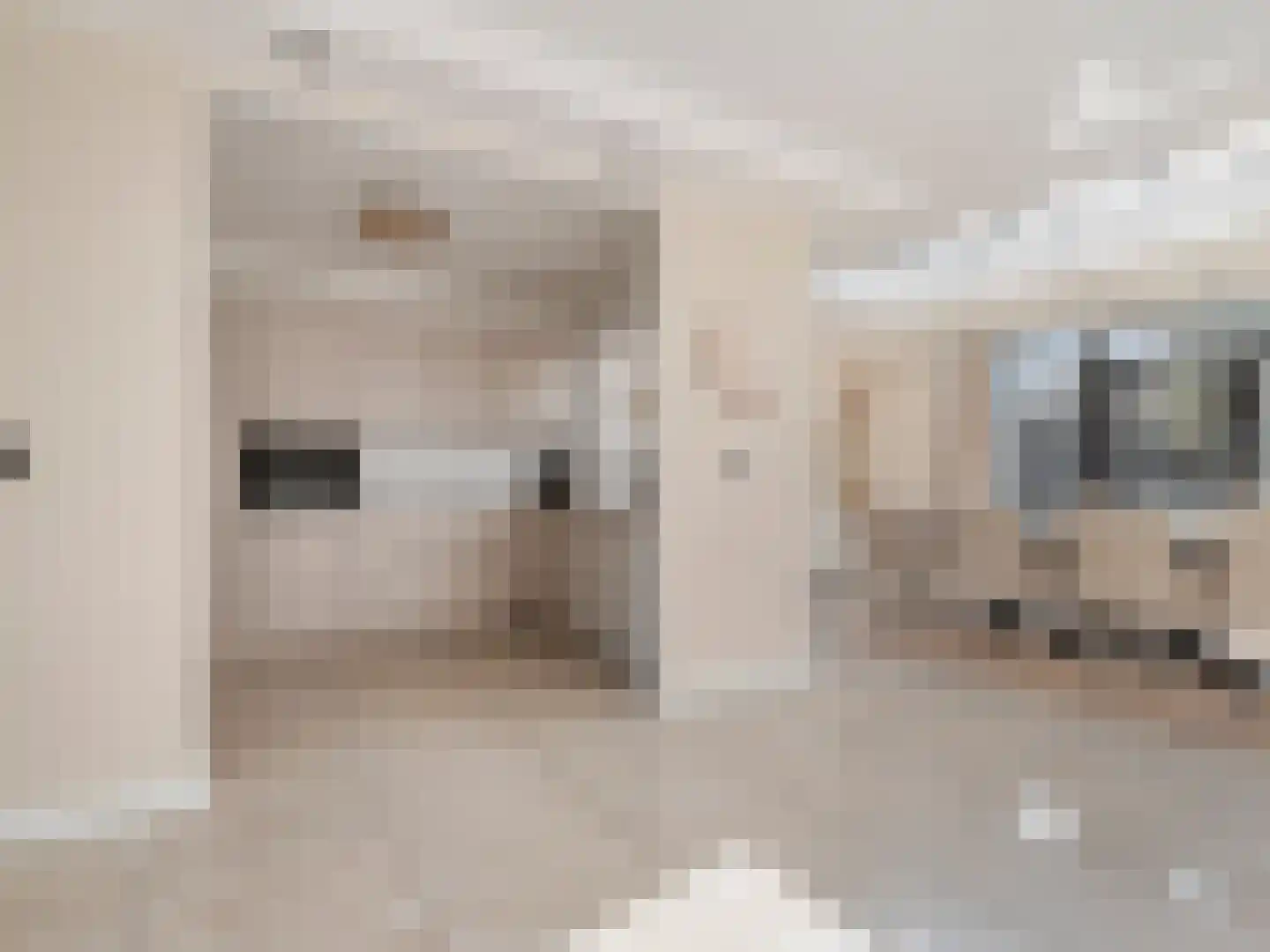 Dokter Akkermansstraat 19 Drunen thumbnail 20