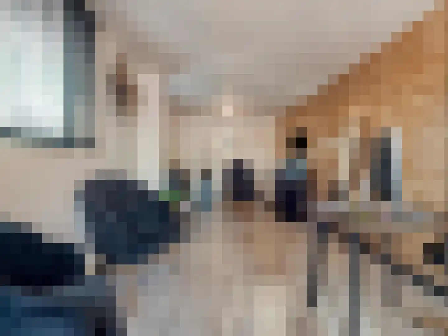 Dokter Akkermansstraat 19 Drunen thumbnail 30