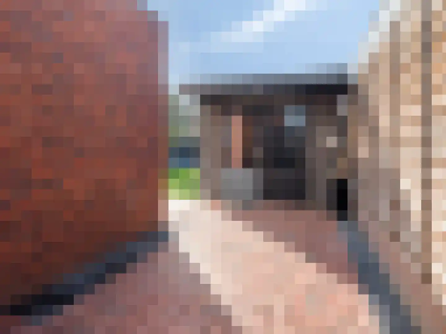 Dokter Akkermansstraat 19 Drunen thumbnail 41