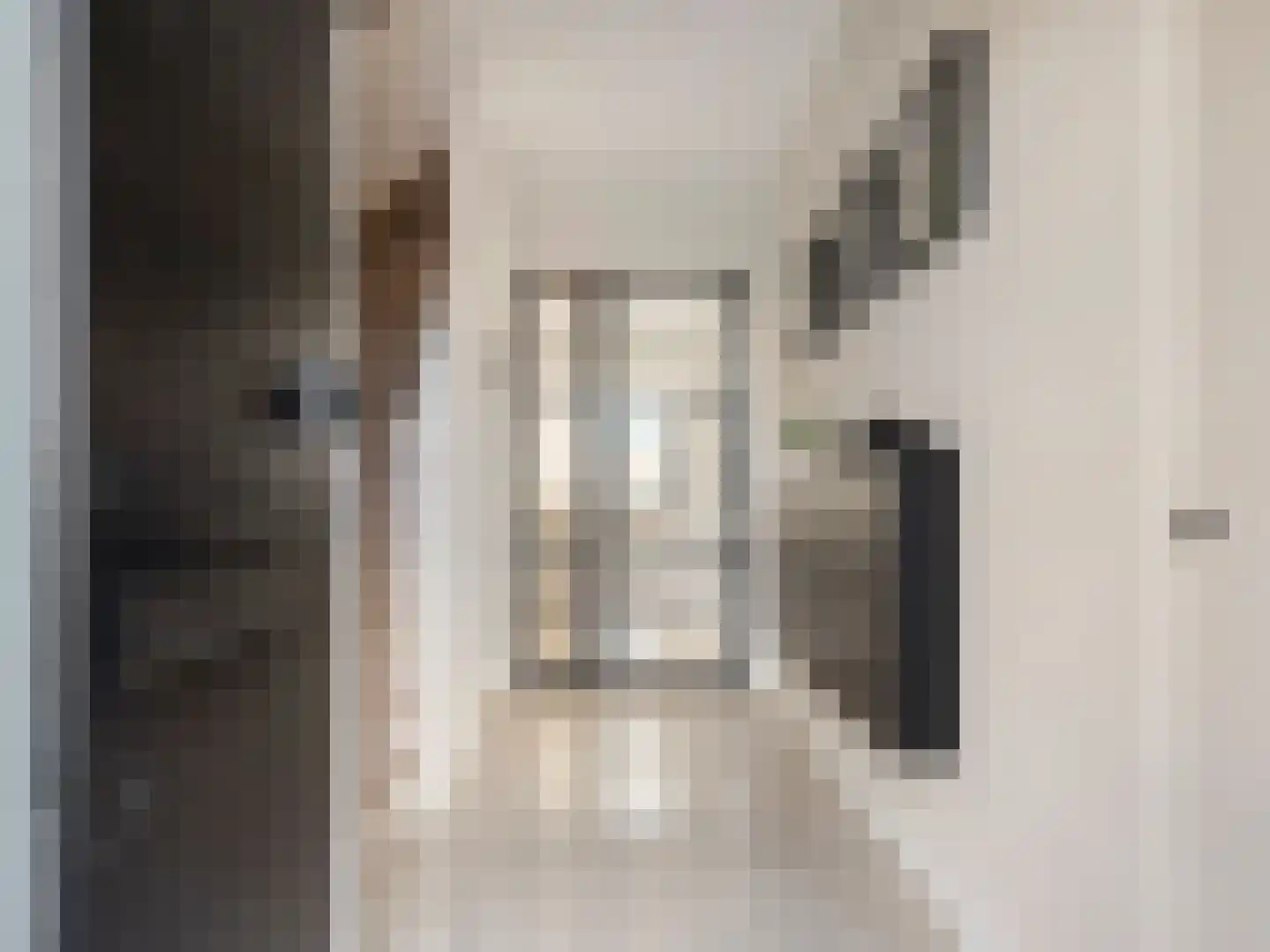 Dokter Akkermansstraat 19 Drunen thumbnail 6