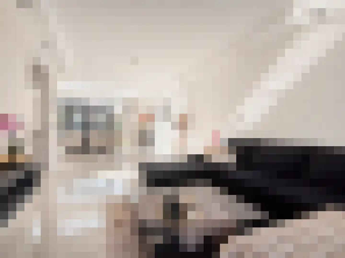 Dokter Akkermansstraat 19 Drunen thumbnail 9