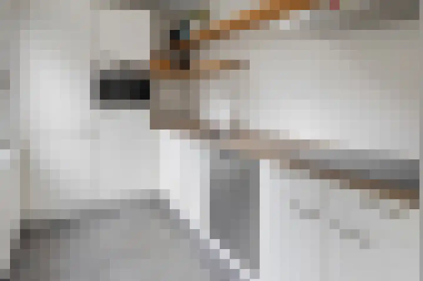 Dokter Akkermansstraat 33 Drunen thumbnail 14