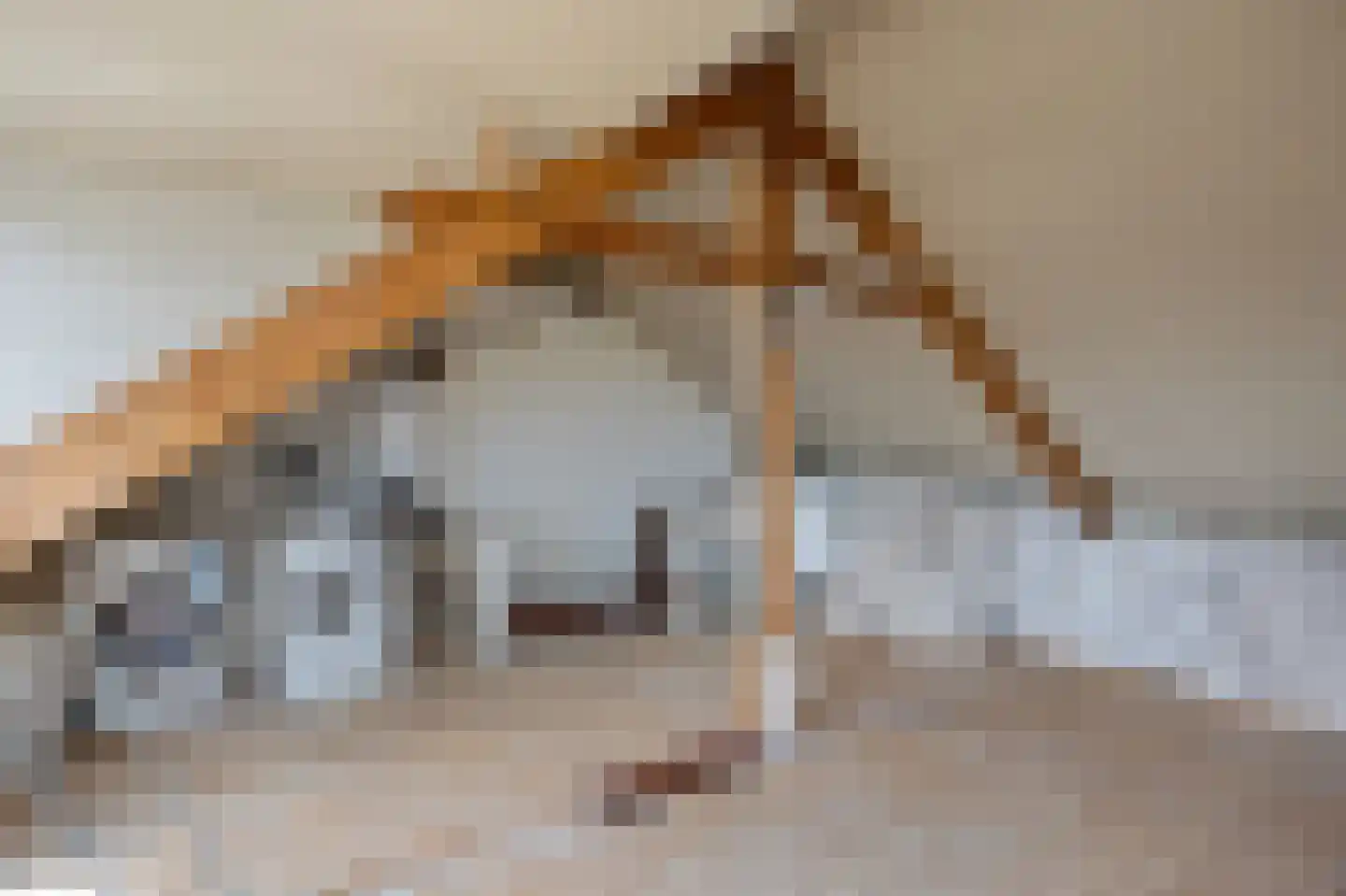 Dokter Akkermansstraat 33 Drunen thumbnail 27