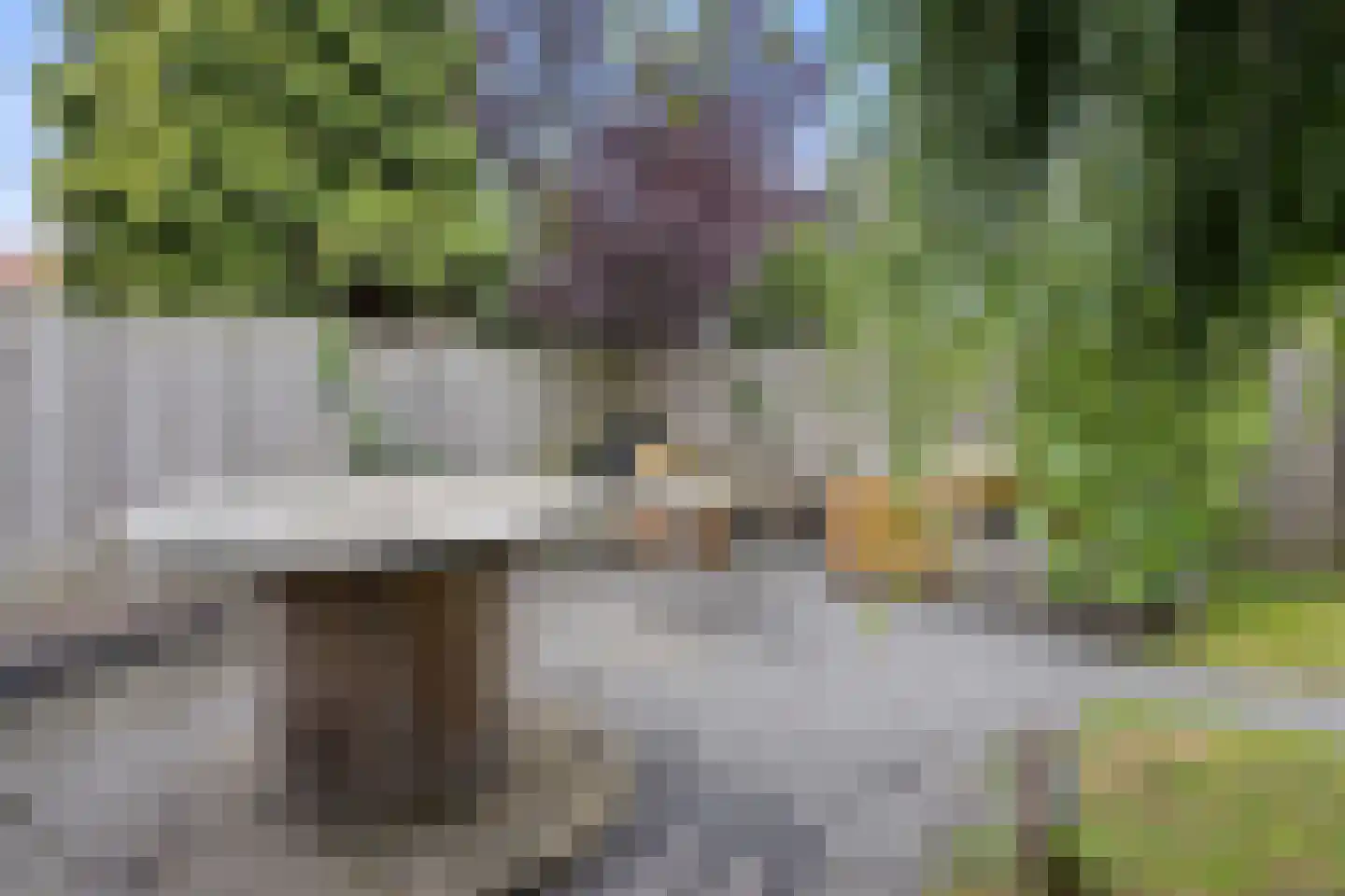 Dokter Akkermansstraat 33 Drunen thumbnail 33