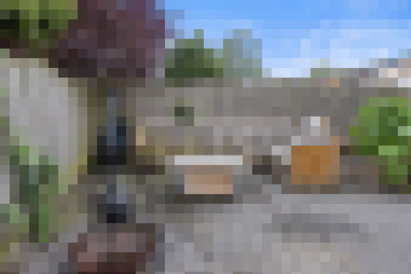 Dokter Akkermansstraat 33 Drunen thumbnail 34