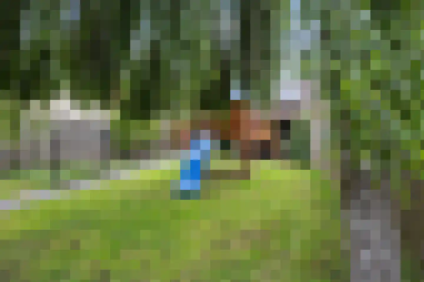 Dokter Akkermansstraat 33 Drunen thumbnail 37
