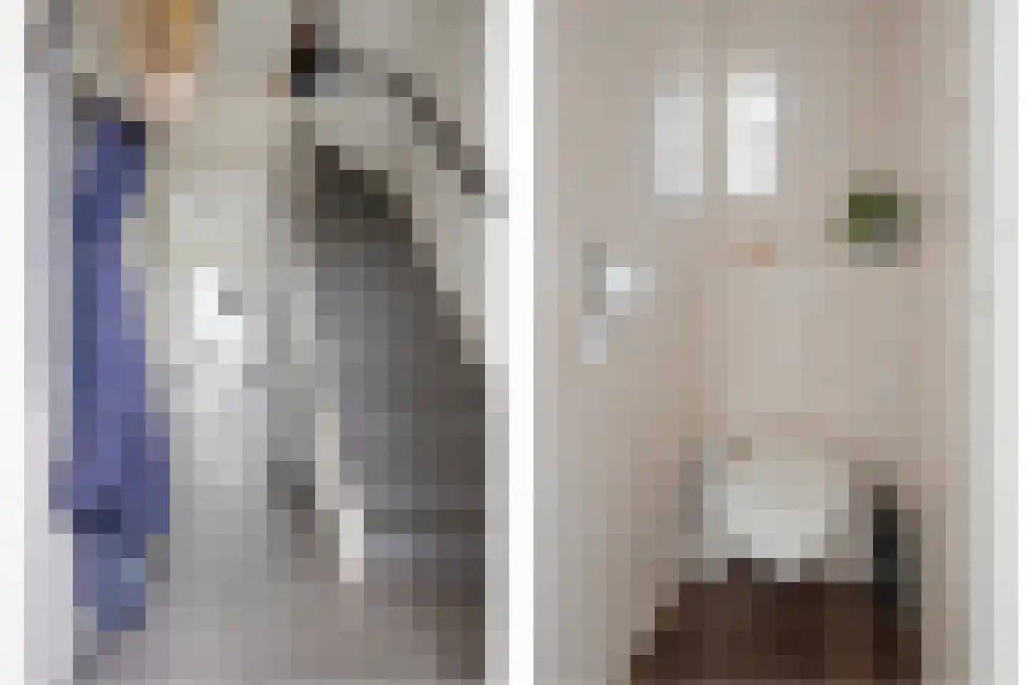 Dokter Akkermansstraat 33 Drunen thumbnail 8