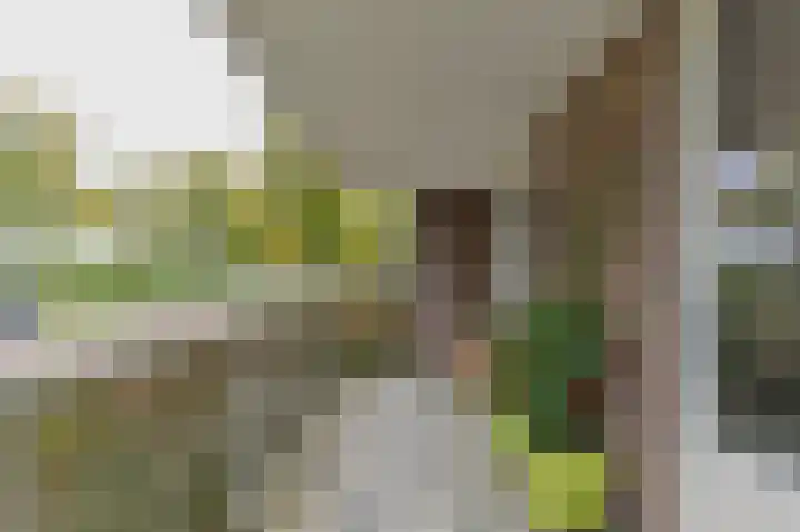 Dokter Aletta Jacobsstraat 1 Venlo thumbnail 16