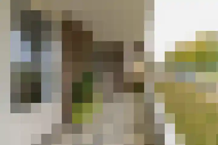 Dokter Aletta Jacobsstraat 1 Venlo thumbnail 19