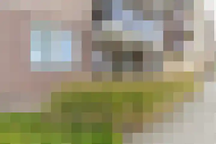 Dokter Aletta Jacobsstraat 1 Venlo thumbnail 27