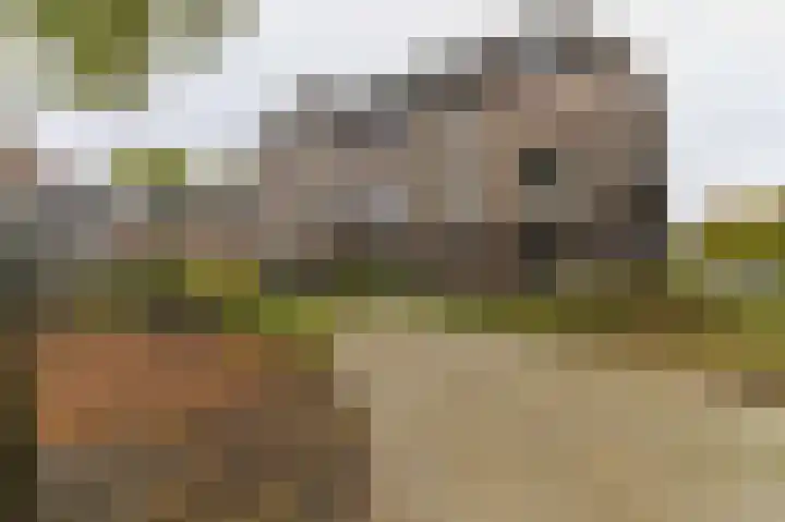 Dokter Aletta Jacobsstraat 1 Venlo thumbnail 4