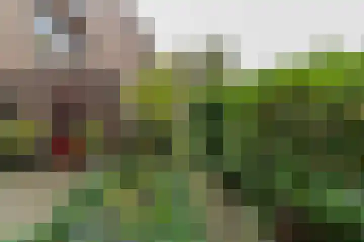 Dokter Aletta Jacobsstraat 1 Venlo thumbnail 7