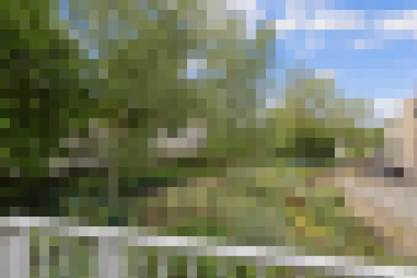Dokter Aletta Jacobsstraat 31 Venlo thumbnail 20