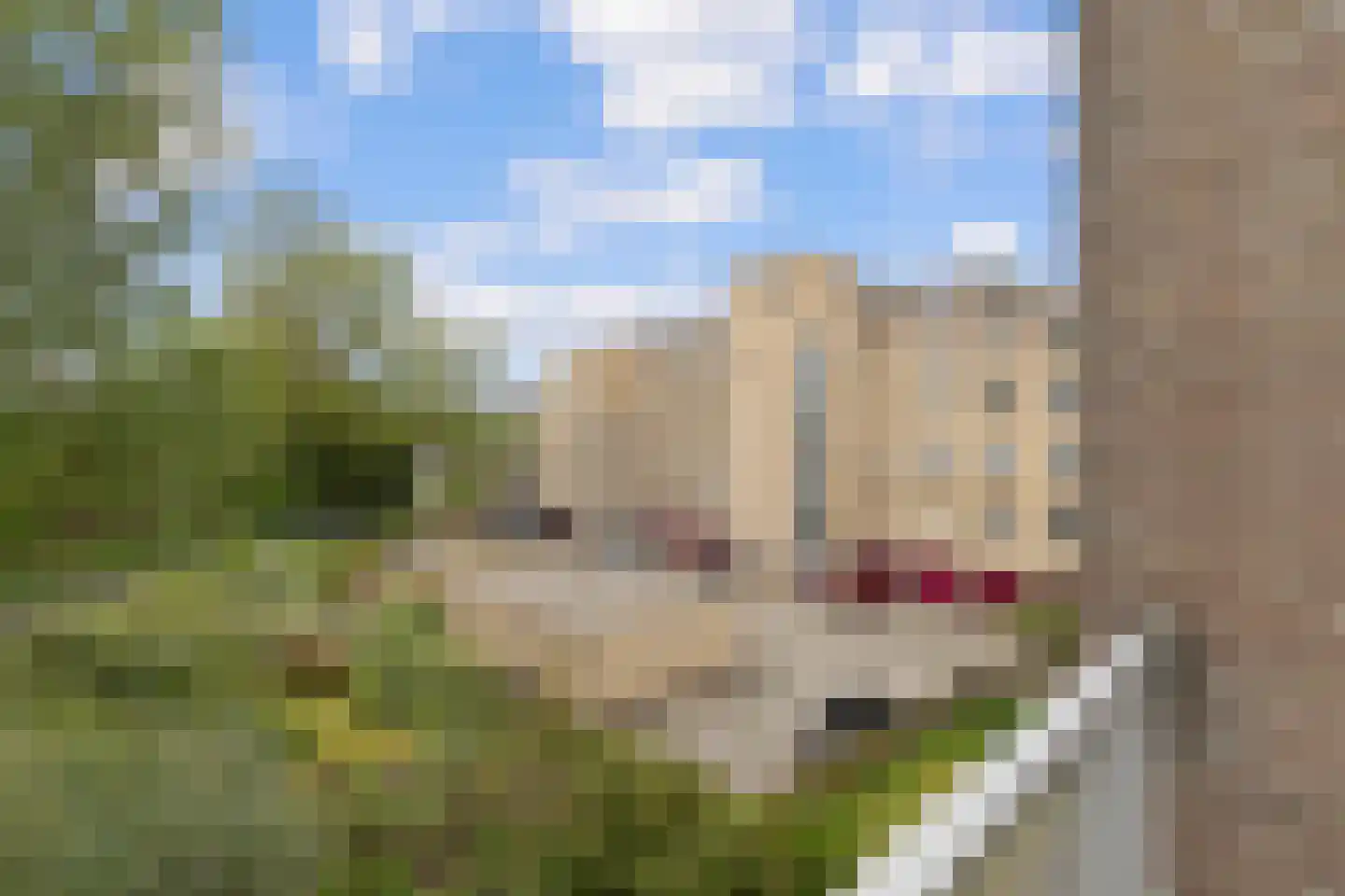 Dokter Aletta Jacobsstraat 31 Venlo thumbnail 21