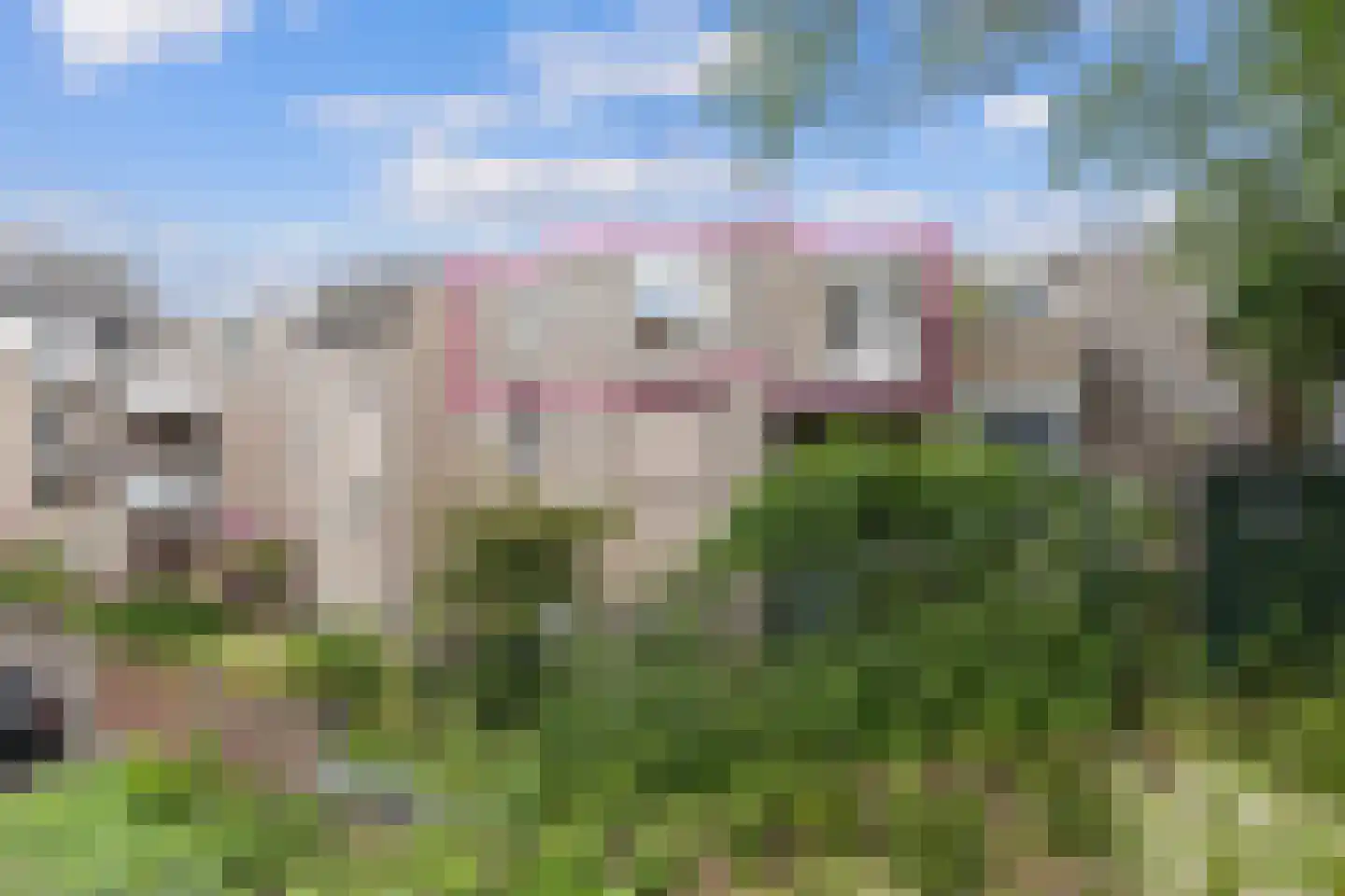 Dokter Aletta Jacobsstraat 31 Venlo thumbnail 31