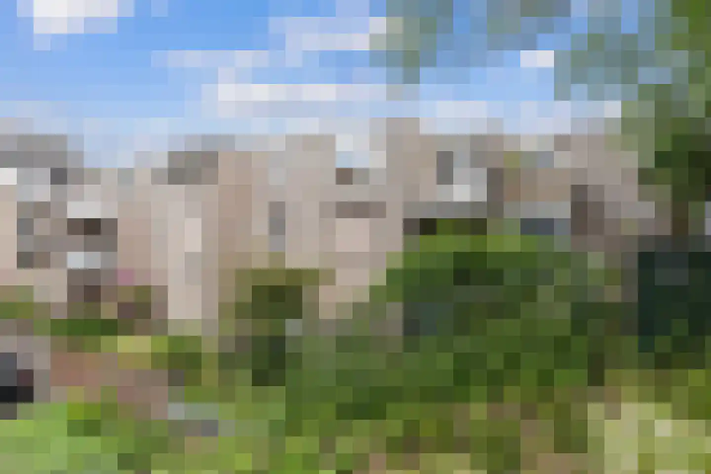 Dokter Aletta Jacobsstraat 31 Venlo thumbnail 32