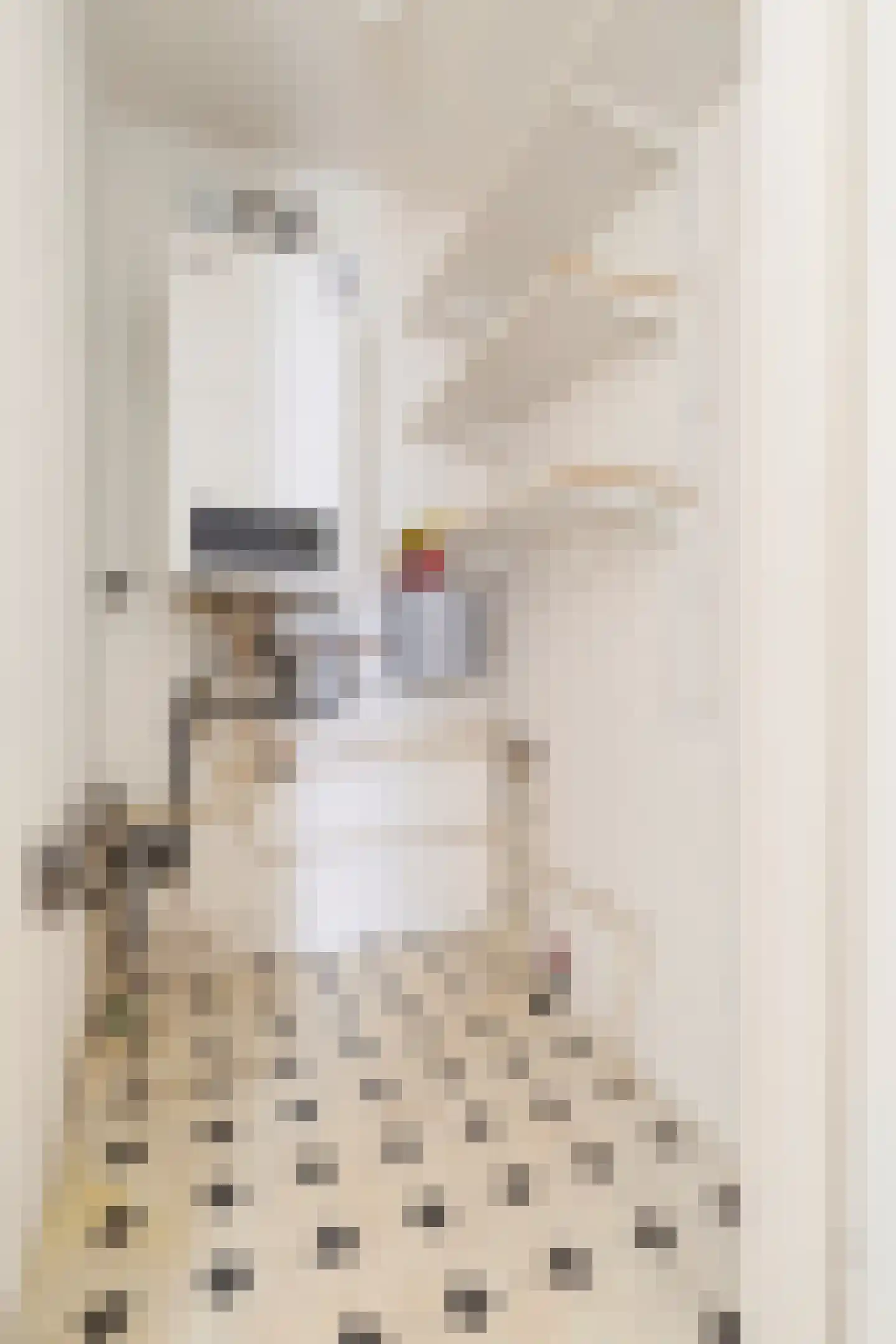 Dokter Aletta Jacobsstraat 31 Venlo thumbnail 34