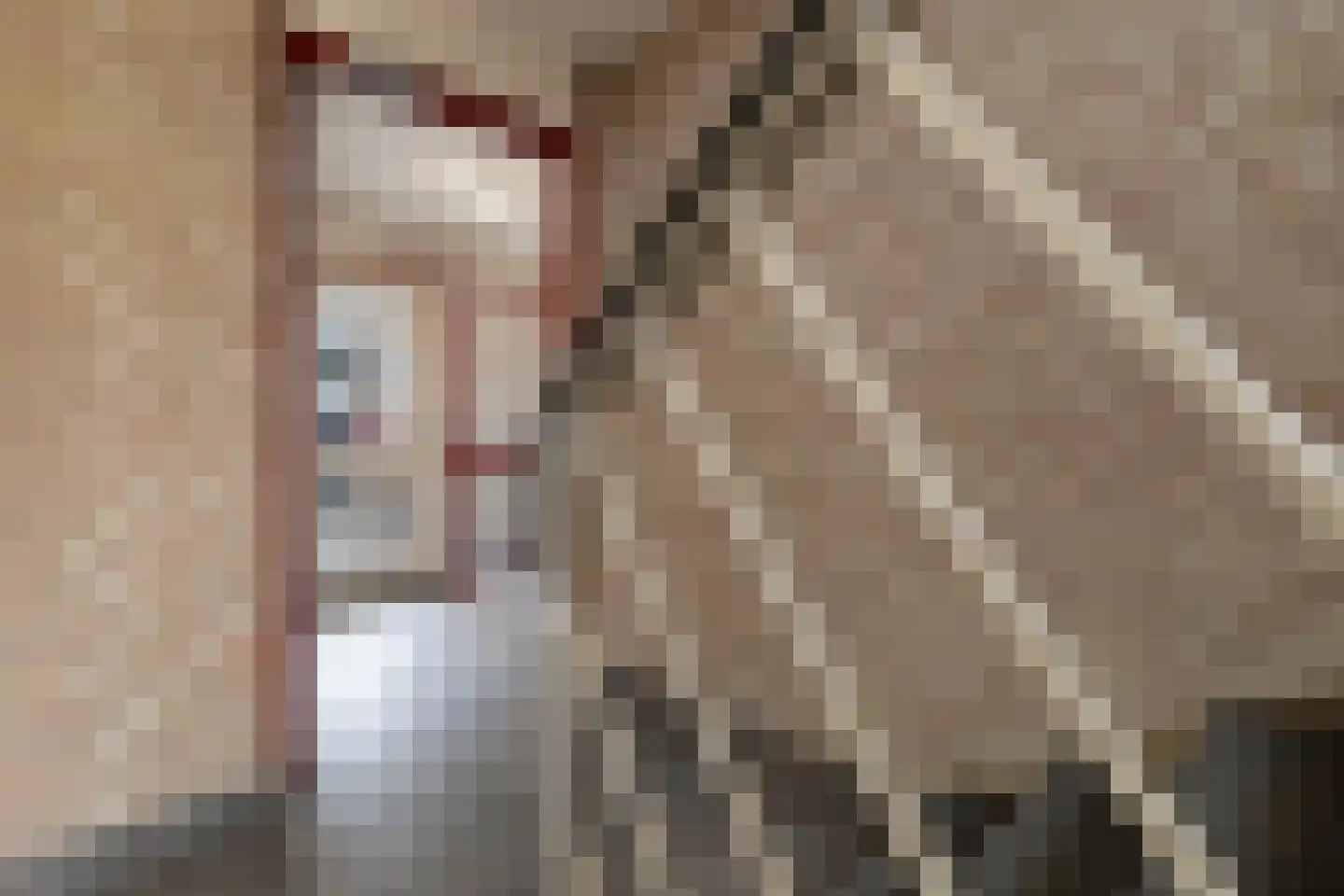 Dokter Aletta Jacobsstraat 31 Venlo thumbnail 6