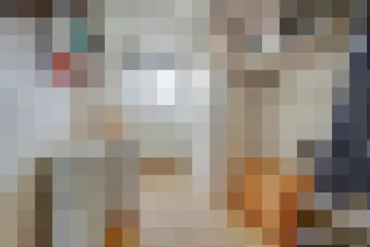 Dokter Aletta Jacobsstraat 41 Venlo thumbnail 11