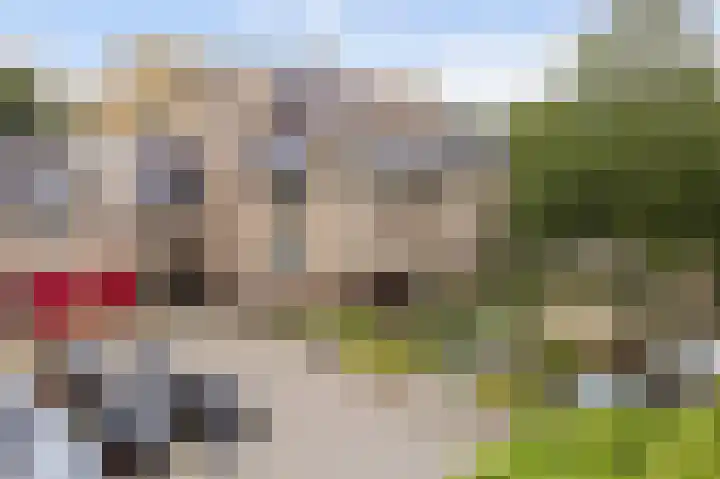 Dokter Aletta Jacobsstraat 41 Venlo thumbnail 15