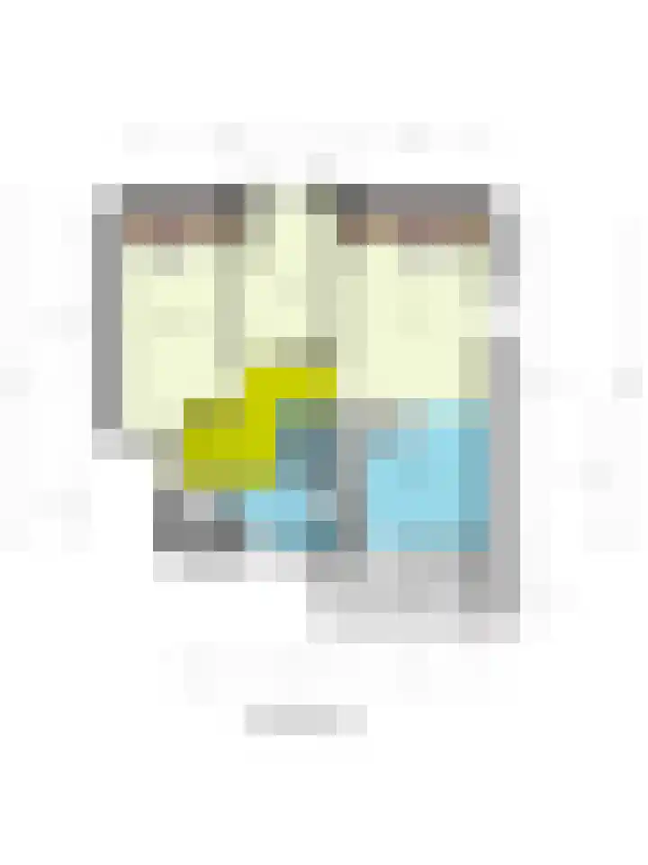Dokter Aletta Jacobsstraat 41 Venlo thumbnail 18