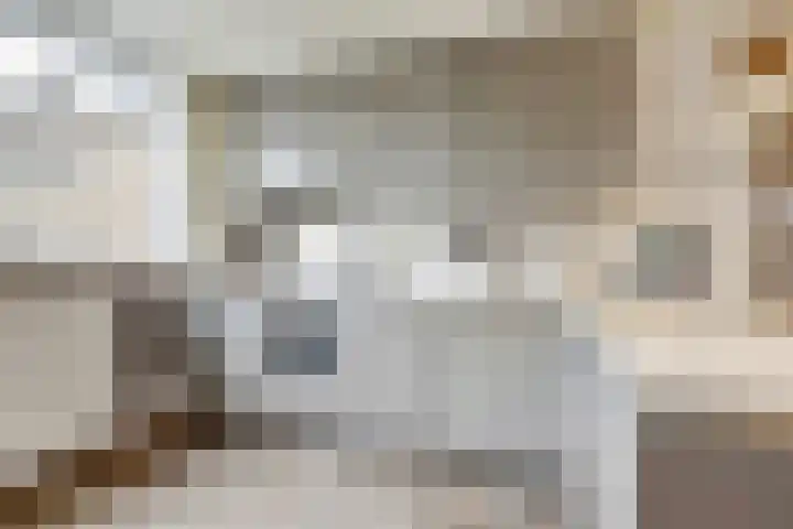 Dokter Aletta Jacobsstraat 41 Venlo thumbnail 9