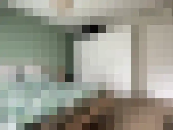 Dokter Aletta Jacobsstraat 43 Venlo thumbnail 19