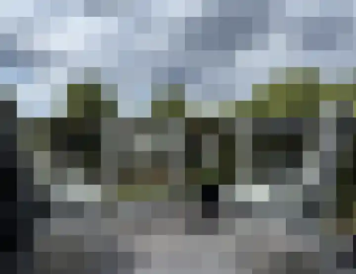 Dokter Aletta Jacobsstraat 43 Venlo thumbnail 22